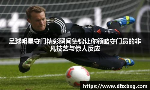 星空综合(中国)官方网站